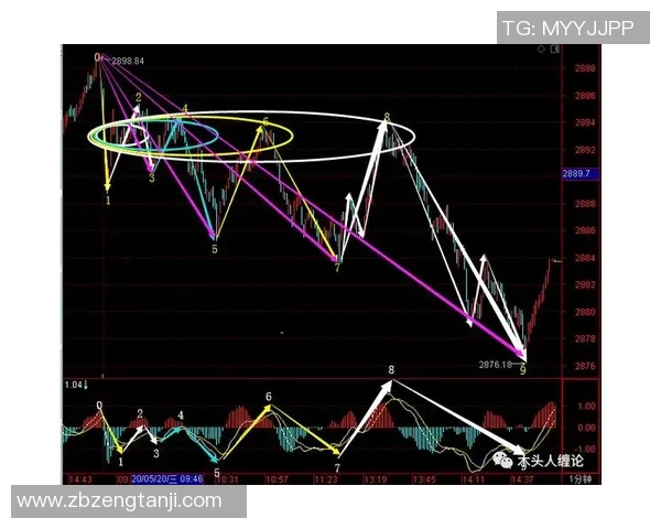 上海排球队包夹战术深度解析与实战应用探讨